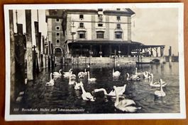 Rorschach - Hafen mit Schwanenkolonie 1928
