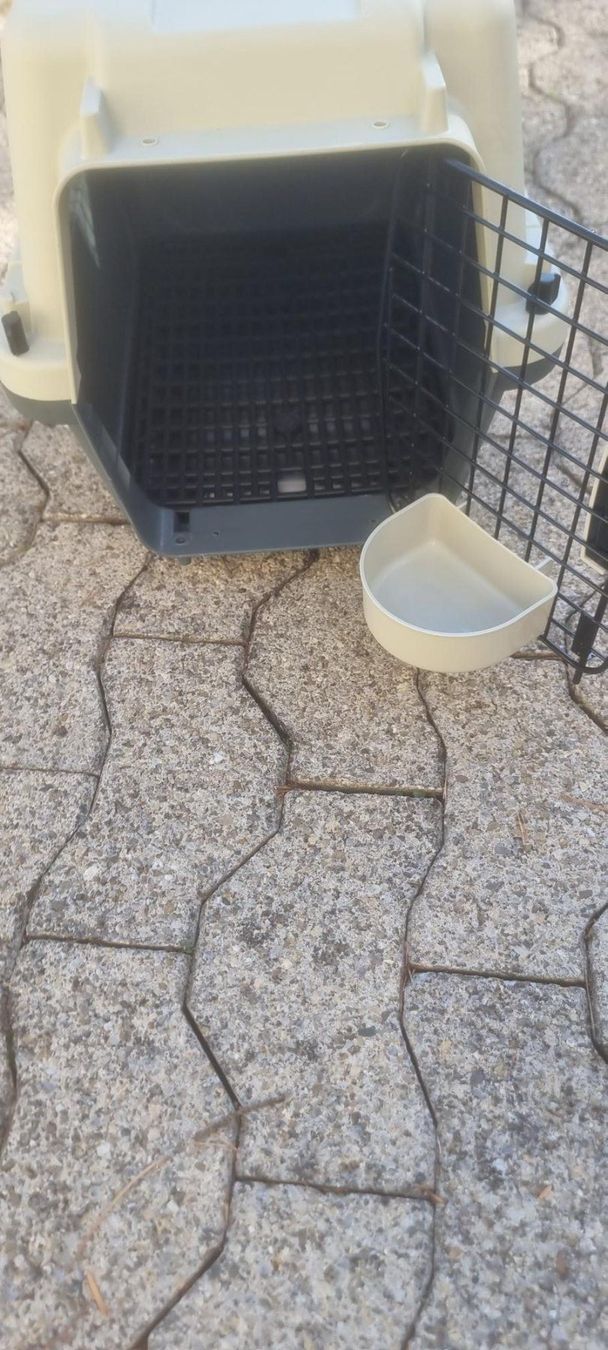 Gabbie, trasporto & Sicurezza: Hundebox – Nuovo (secondo la descrizione) da Schöfflisdorf venduto da Speedcanard 1