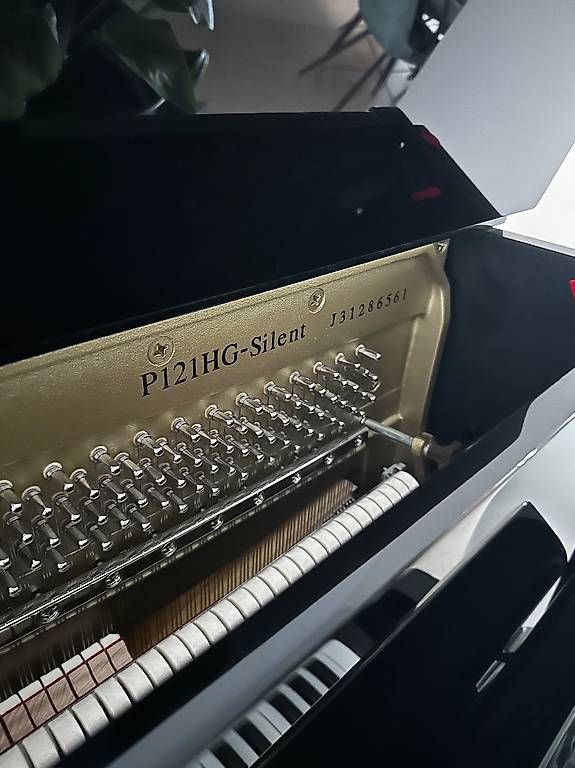 Yamaha Strumenti musicali: Yamaha P121HG-Silent Klavier – Usato da Dübendorf venduto da edu_p5jy 2