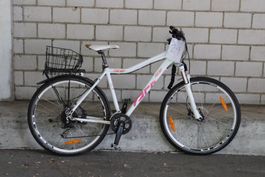 Velo 24