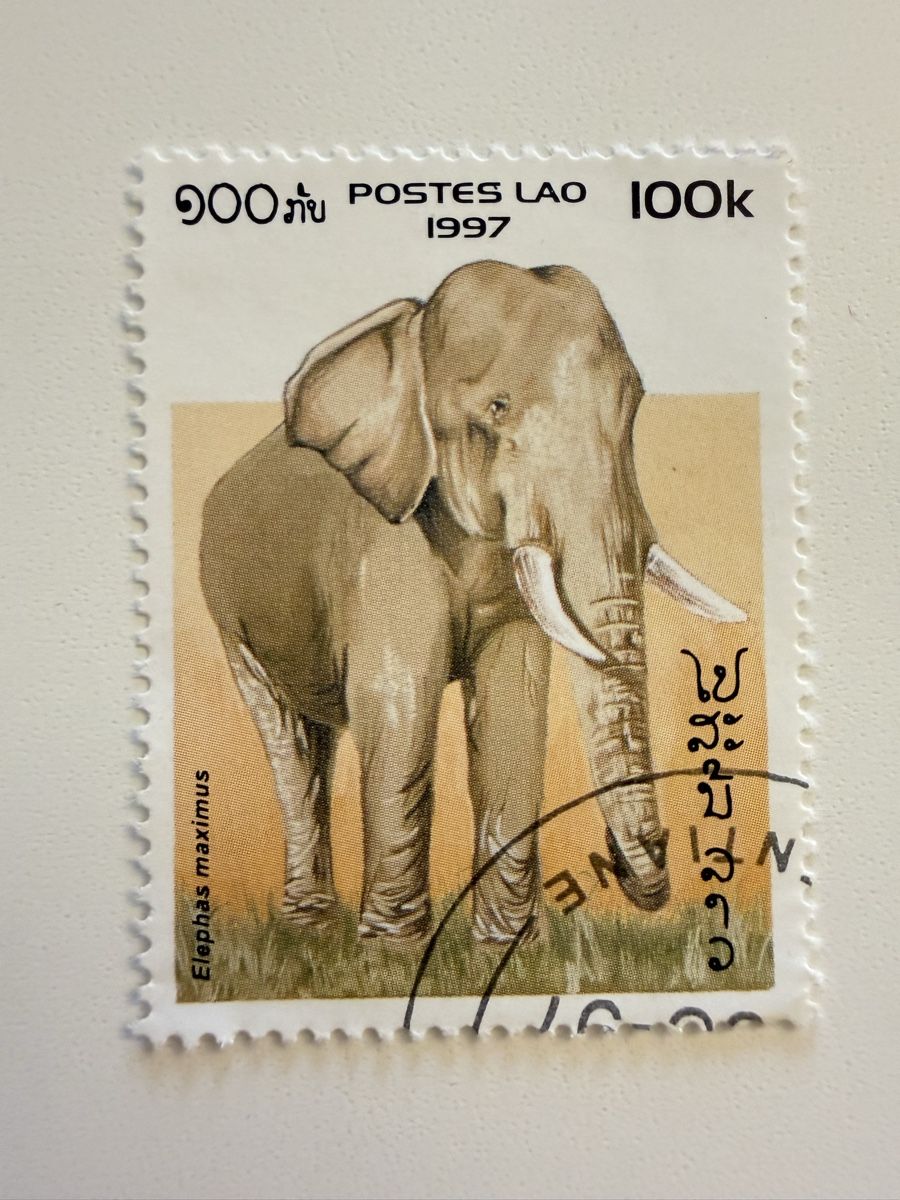 Tutti i francobolli: Briefmarke Elefant Postes Lao 1997 100k – Usato da Appenzell venduto da sonnegarte