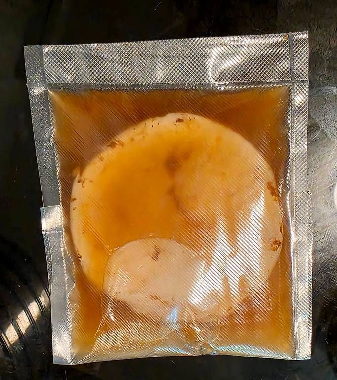 Lebensmittel & Spezialitäten: Kombucha SCOBY aus Schwarztee mit Starterflüssigkeit – Gebraucht aus Rickenbach ZH von pos_y55h 1