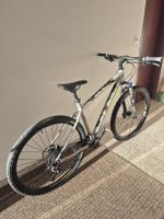 Bergamont Revox 7.0 Mountainbike 29Zoll MTB