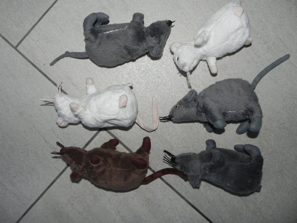 Mousehouse Gifts Plüschtier Bär – Grau, 20x16x19 Cm, Kuscheliger Teddy Mit Schleife, Für Kinder