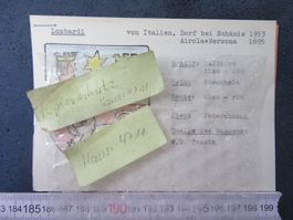 FAMILIENWAPPEN " LOMBARDI IT SCHÄNIS,AIROLA+BERZONA TI 15x10