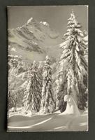 AK Braunwald Glarus Ortstock