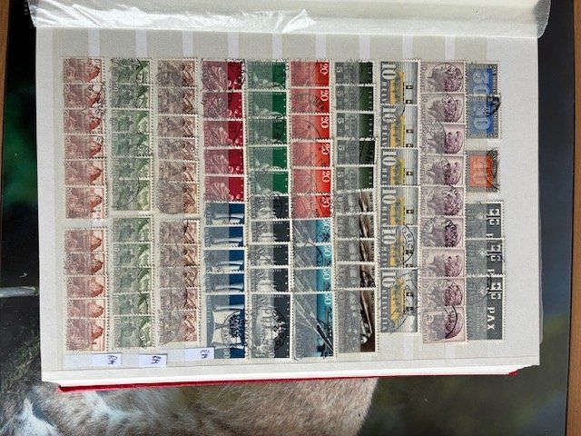 Tutti i francobolli: Schweizer Briefmarken 1862 -2025 93 Seiten – Usato da Zürich venduto da han_s2g2 5