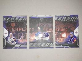 SportZoo Playoff, Season Breakdown, EHC Kloten