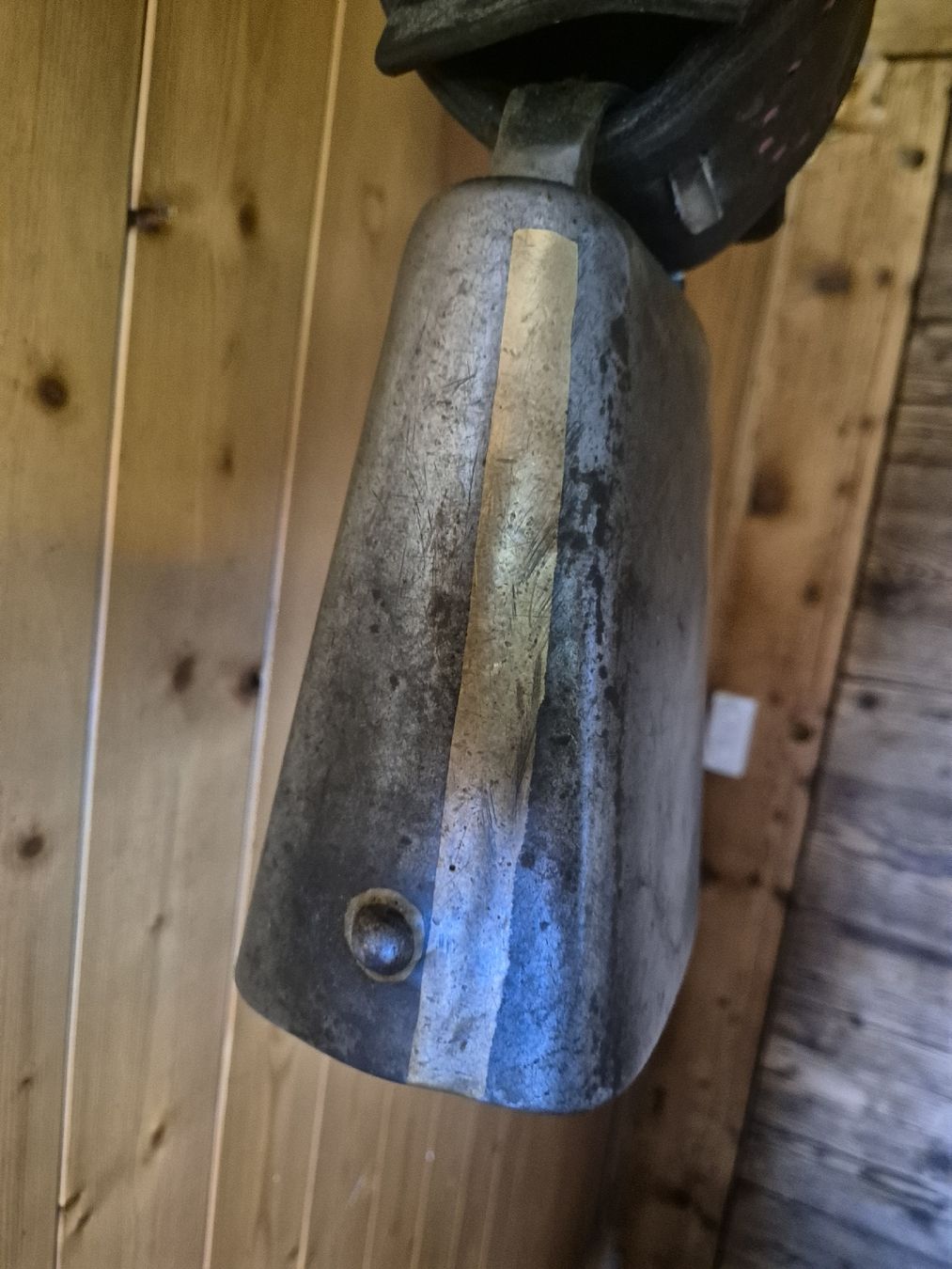 Campanacci mucche: Fuchs Bisse – Usato da Stalden (Sarnen) venduto da Sali91 2