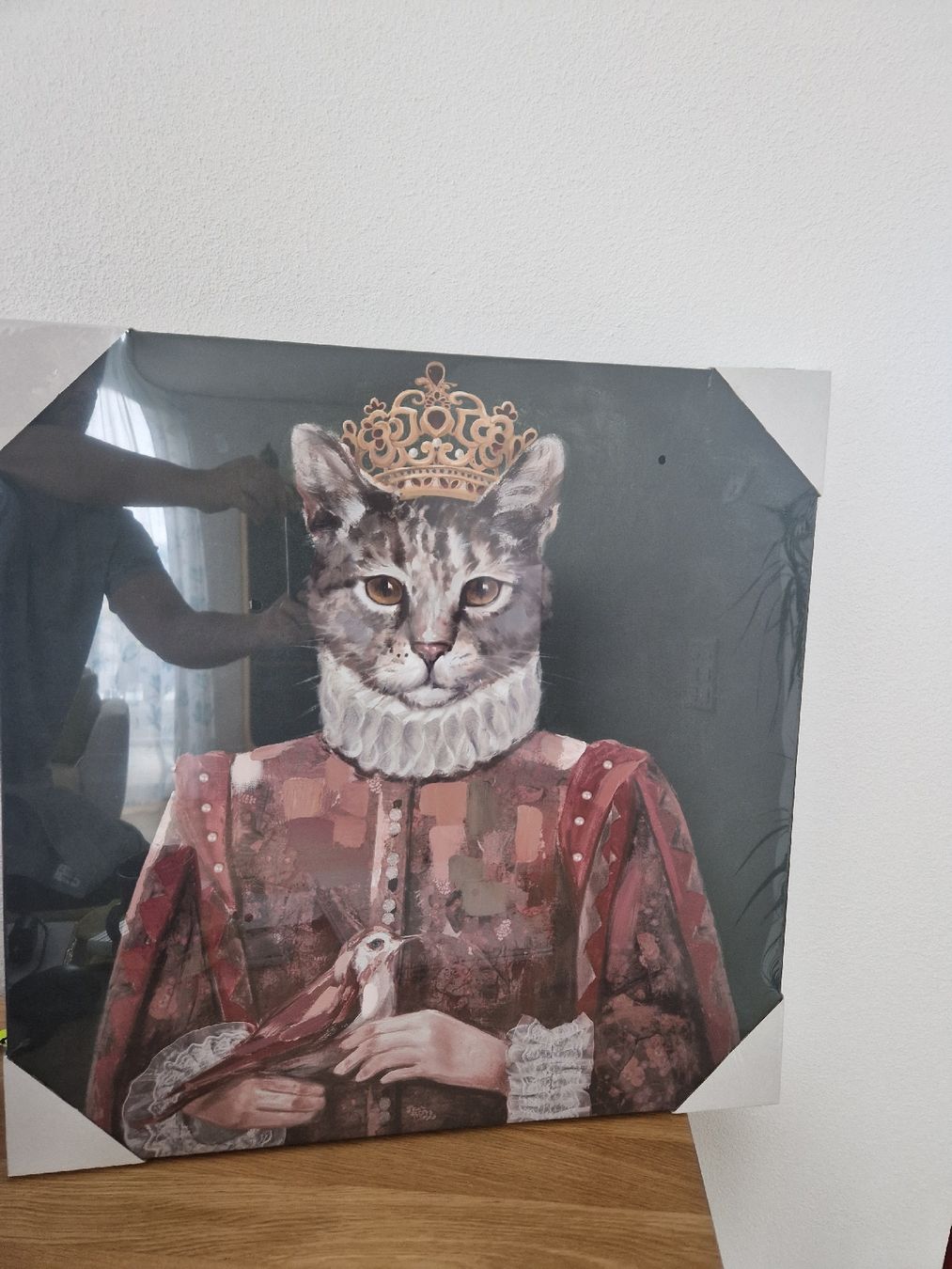 Foto & Immagini: Edles Leinwandbild Katze mit Krone 60x60cm – Nuovo e nell'imballaggio originale da Dübendorf venduto da Trekkie80 1