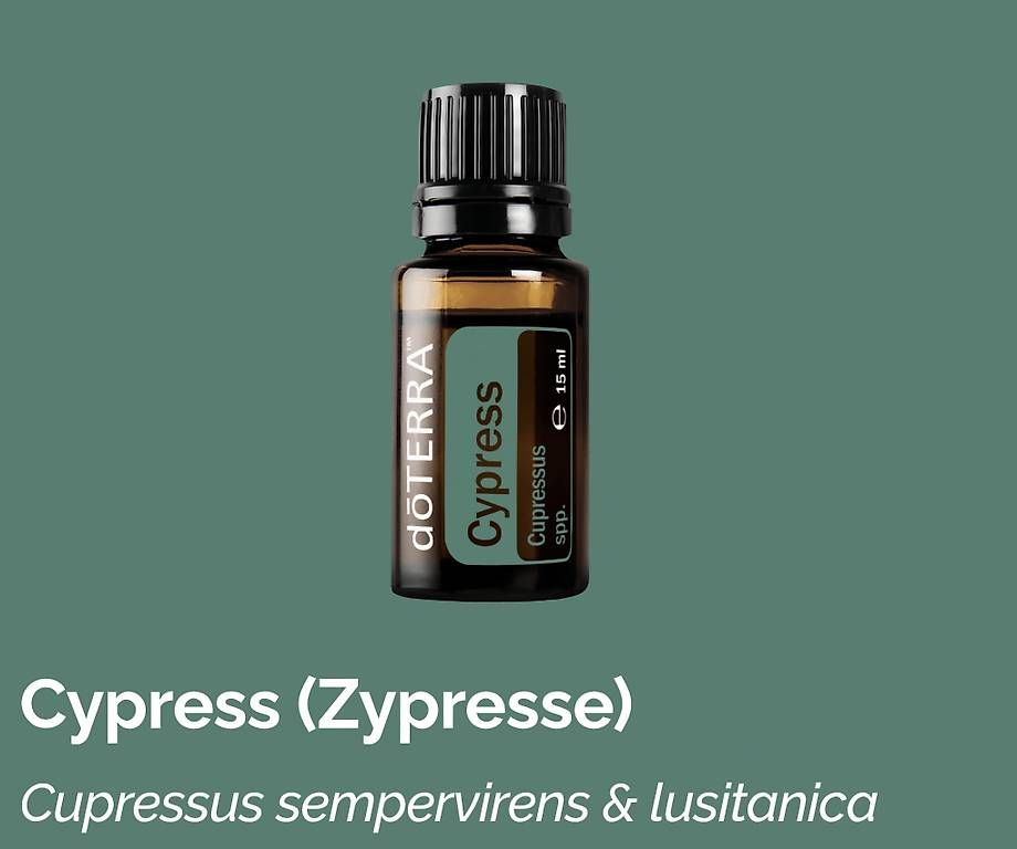 Doterra Oli essenziali: Doterra Cypress – Nuovo e nell'imballaggio originale da Lyss venduto da Infinia