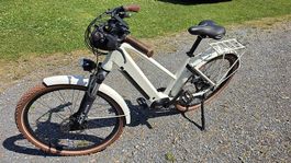Bifang E-Trekking Bike EGO Movement Jane