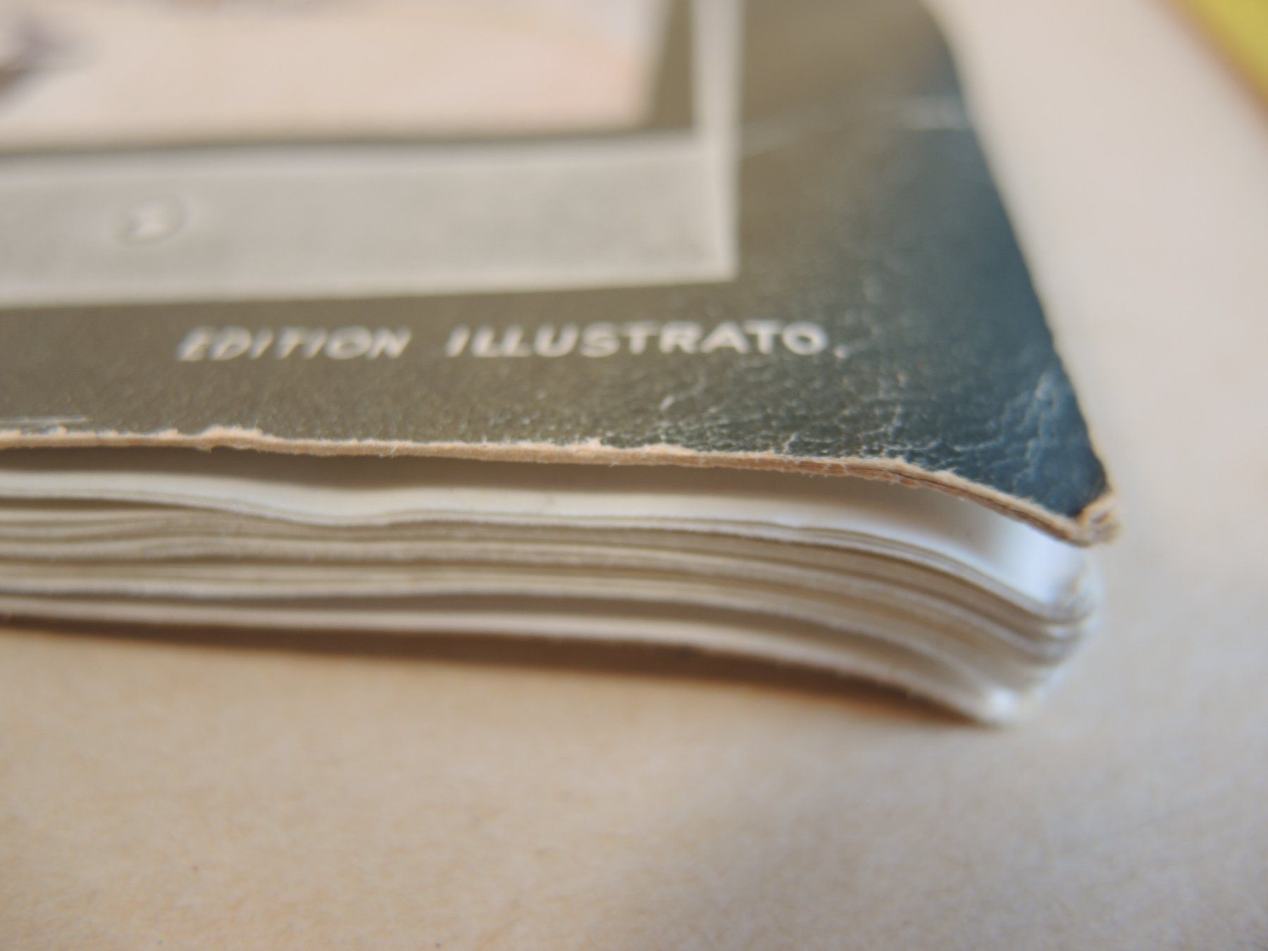 Libri: Simplon Edition illustrée Illustrato 40 Ansichten Bahn Pass – Usato da Rorschach venduto da maeck8 7