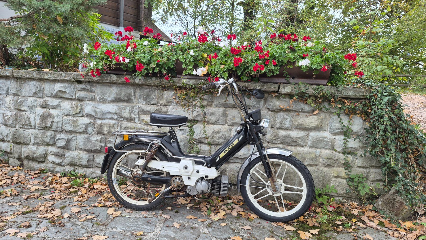 Puch Ciclomotori: Puch Supermaxi LG1 – Difettoso da Buhwil venduto da Donron0 3