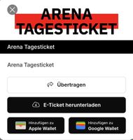 WintiArena 15.7 Halbfinal