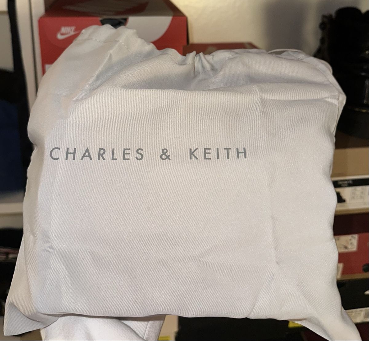 Borse da donna: Charles&Keith Tasche – Nuovo (secondo la descrizione) da Gutenswil venduto da jus_nr7h 5
