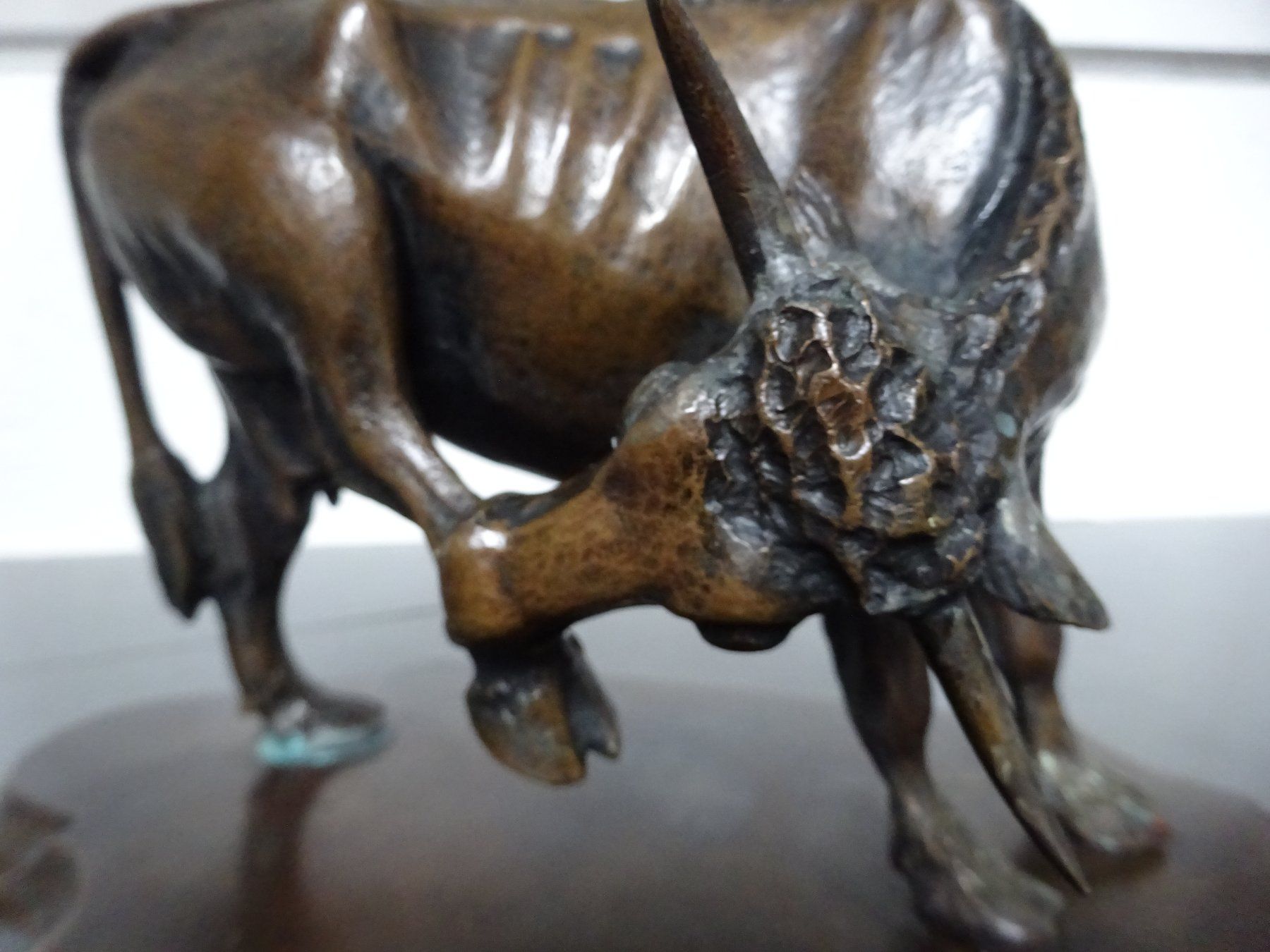 Sculture & Statue: Hochwertige Bronze Kuh – Usato da Esslingen venduto da eintagammeer 5