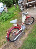 Mofa Sachs Hercules Prior 502 HG 2 Gang 1961 