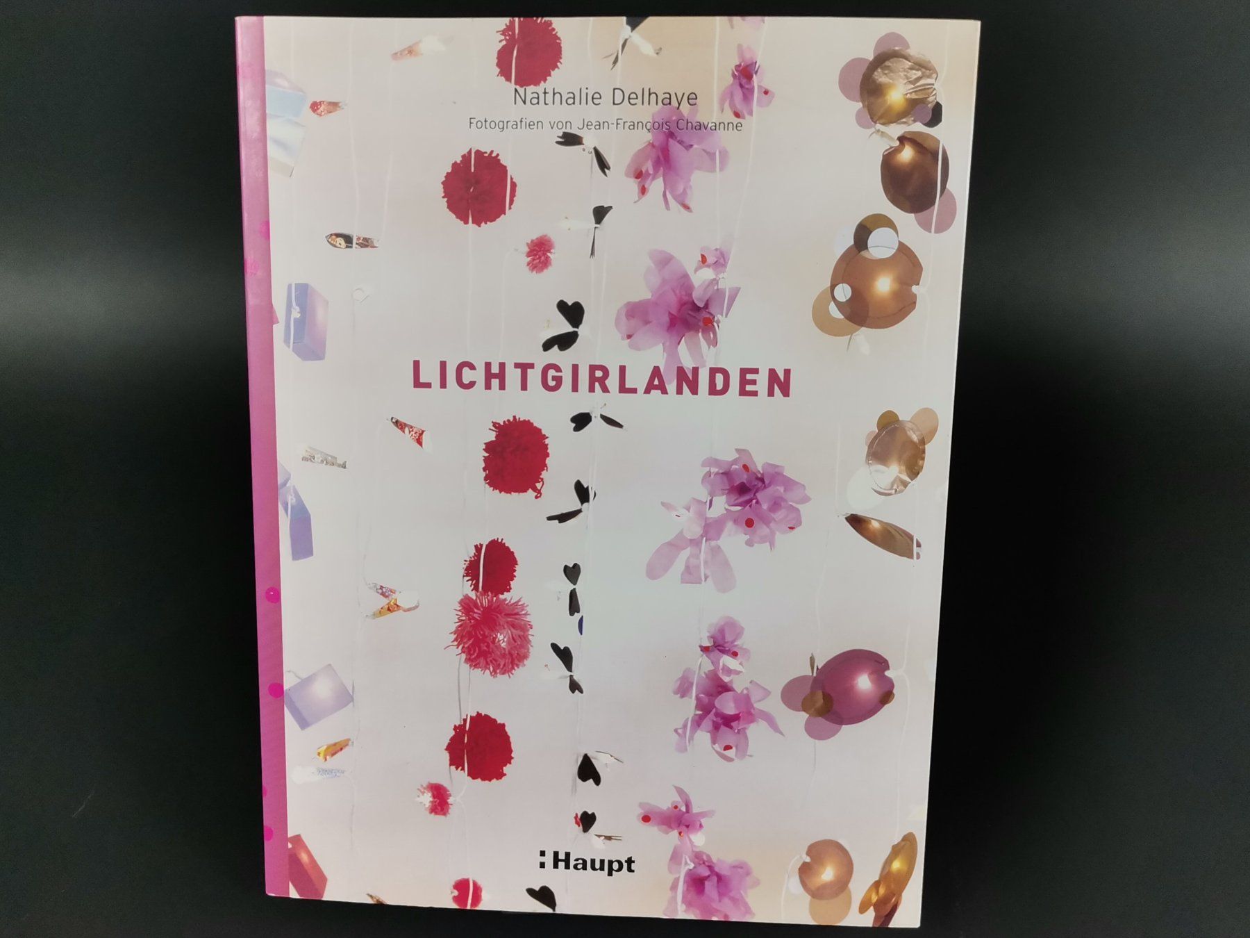 Libri: BUCH Lichtgirlanden – Usato da Schaffhausen venduto da Restwert_SH 1