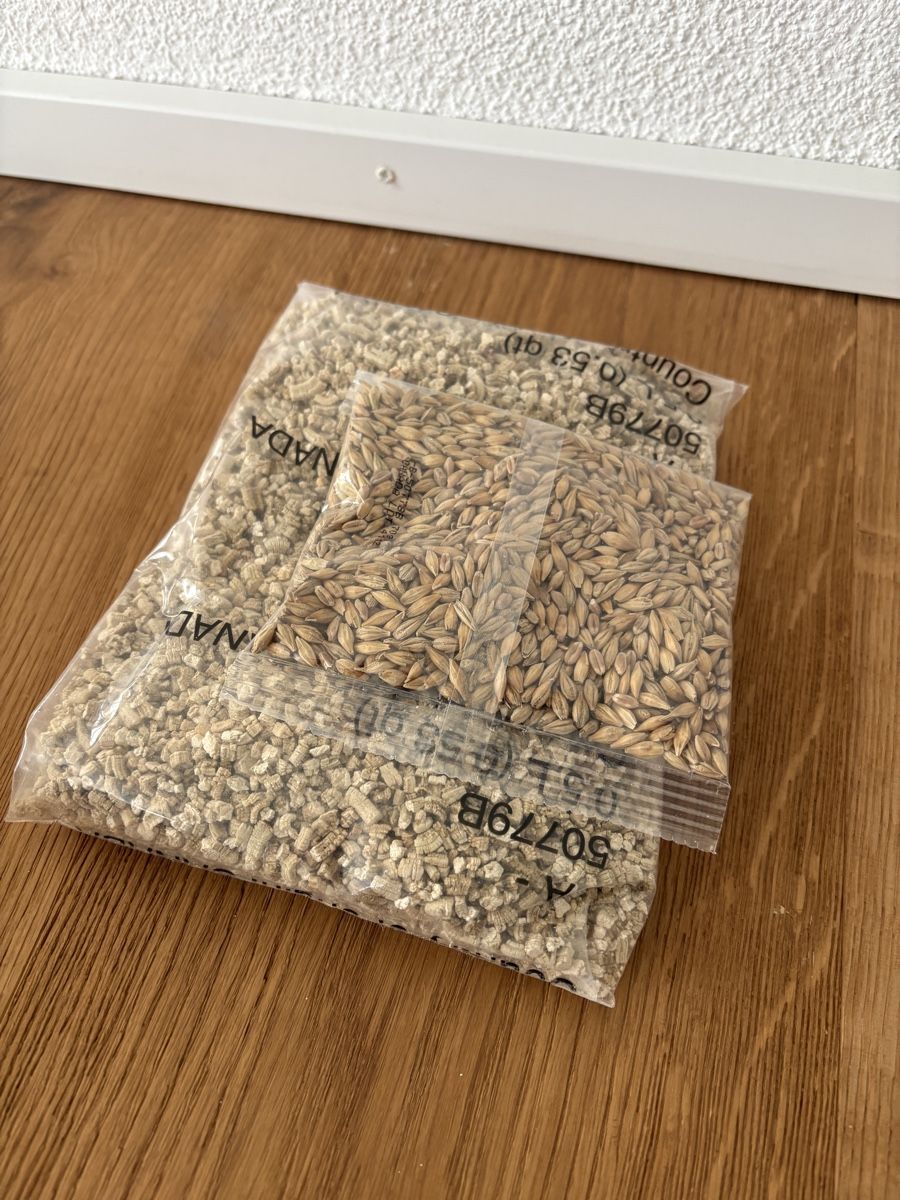 Mangimi: Catit Katzengras – Usato da Algetshausen venduto da Sili2000 2