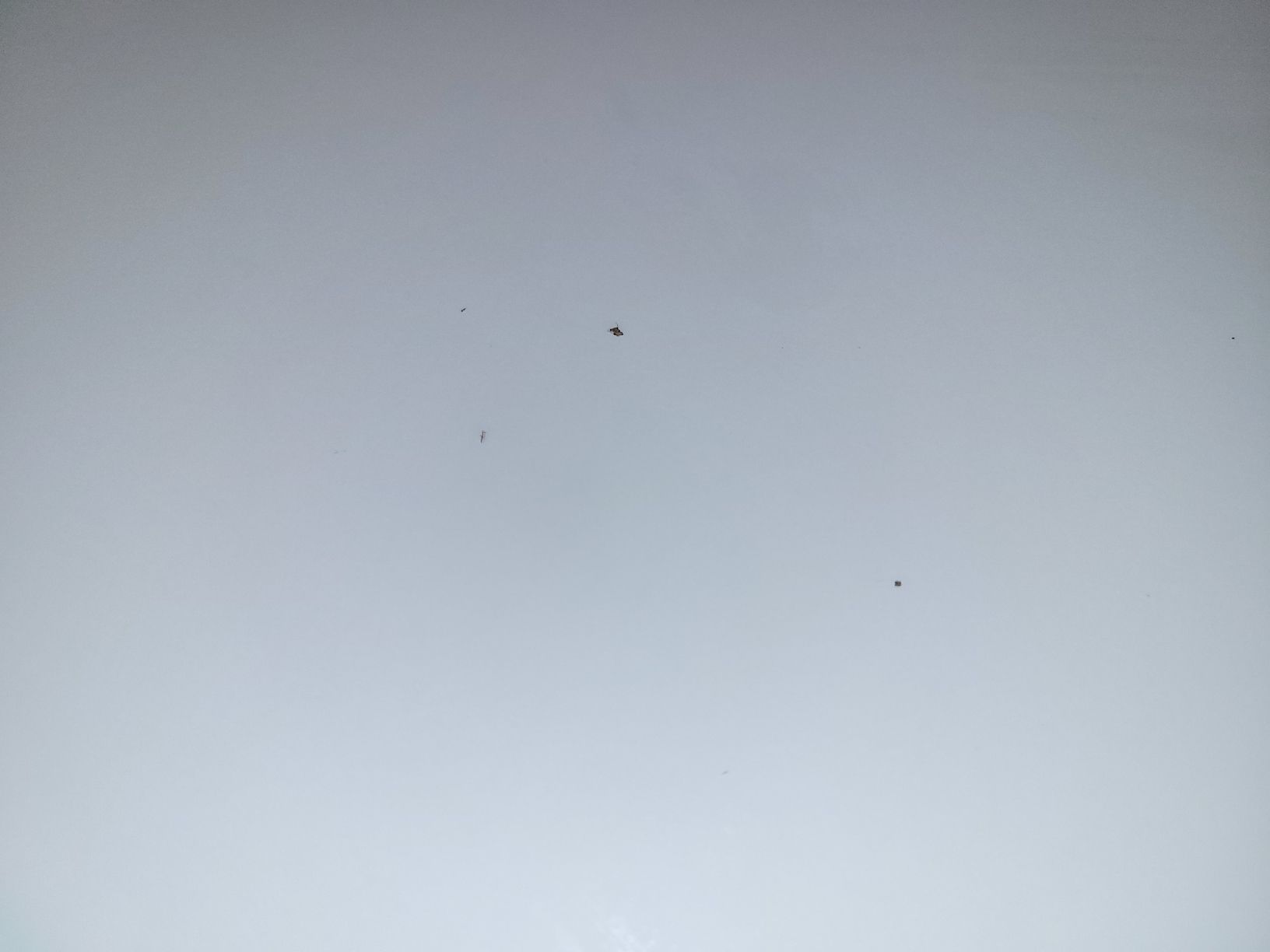 Ikea Tavoli: IKEA Melltorp Tisch 125x75 cm – Usato da Rickenbach LU venduto da kel_2zfz 3