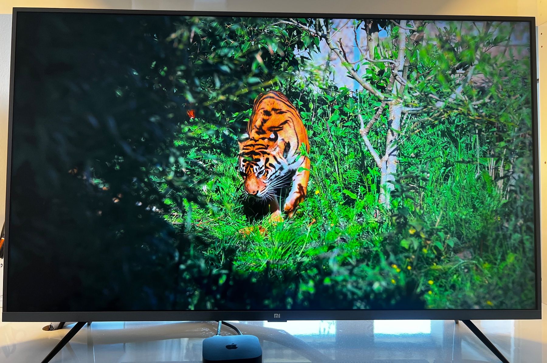 Xiaomi Fernseher: Xiaomi Mi Smart TV 4k – Gebraucht aus Zürich von tocklock 2