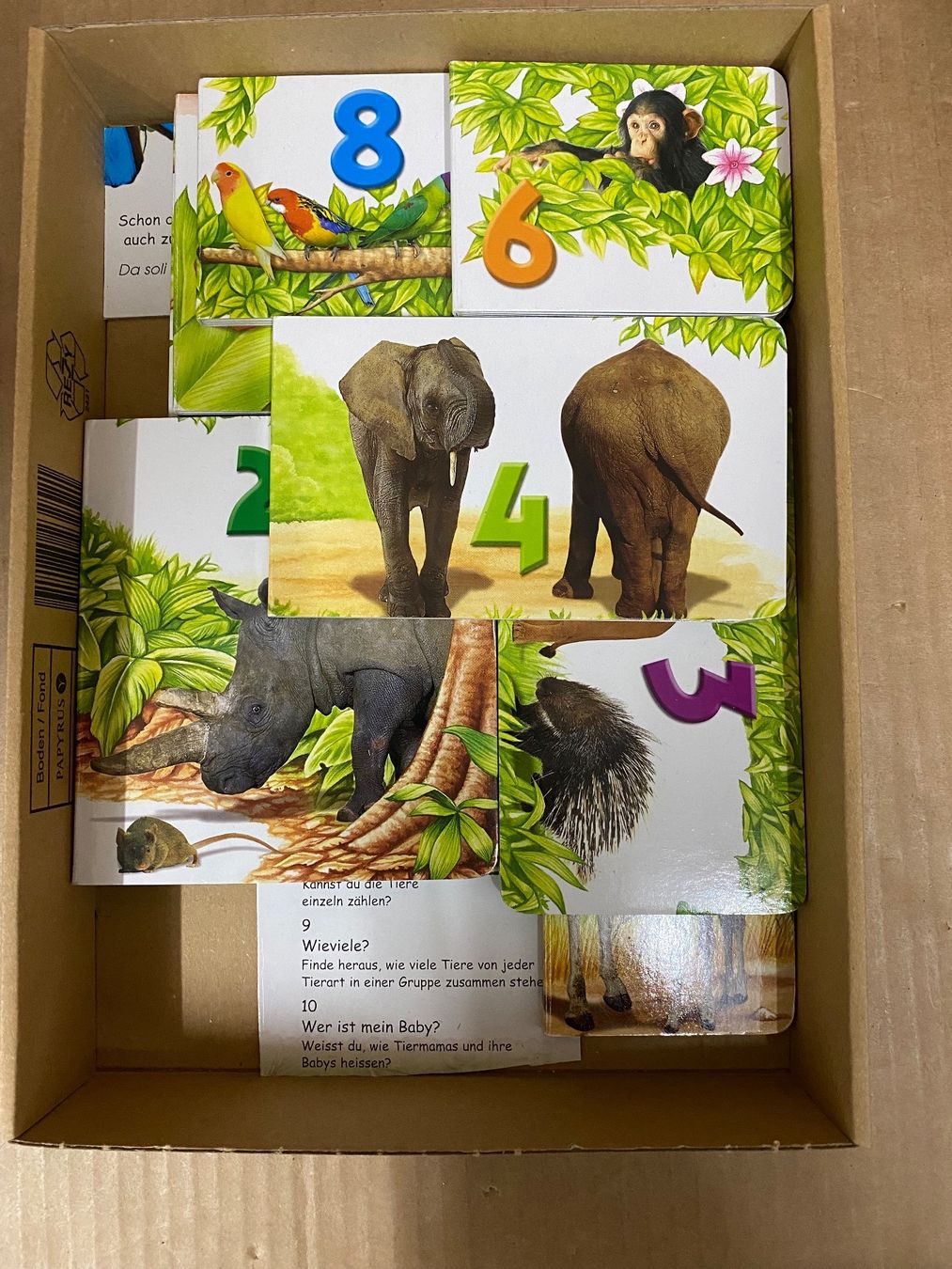 Bücher: Zoo Bücher (vergleiche) – Gebraucht aus Eschlikon TG von ArtRec