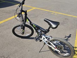 Bicicletta Gecko 2.0 bambino 20 pollici usato