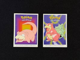 Pokémon Dunkin Boomer 2000 – Flegmon & Lahmus