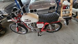 MOTO GUZZI 125cc Stornello Oldtimer - TOP Zustand (036)