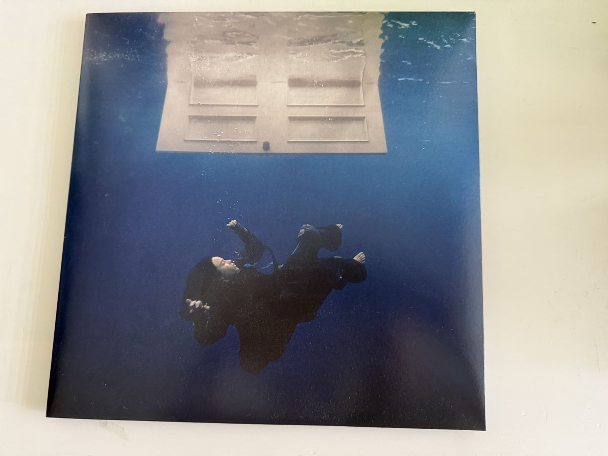 Dischi in vinile: Billie Eilish Hit me hard and soft Schallplatte – Usato da Stallikon venduto da Weihnachtsgnom