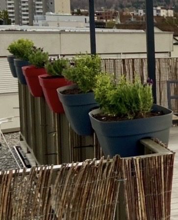 Vasi per fiori: 22 Blumenvasen – Usato da Zürich venduto da ele_nwb7
