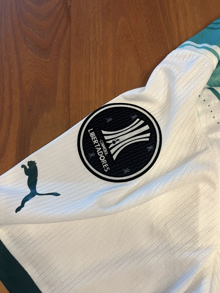 Canottiere & Pantaloni: Trikot Palmeiras Endrick #9 – Usato da Besenbüren venduto da eri_j8j6 4