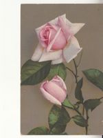 Motivkarte Rosen 1918 mit Stabstempel Volken