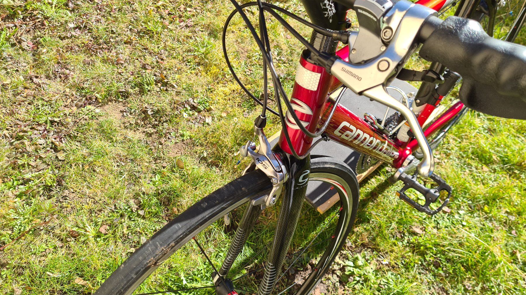 Cannondale Biciclette: Canondale Synopse Carbon 53cm – Usato da Uster venduto da bobnemet 4