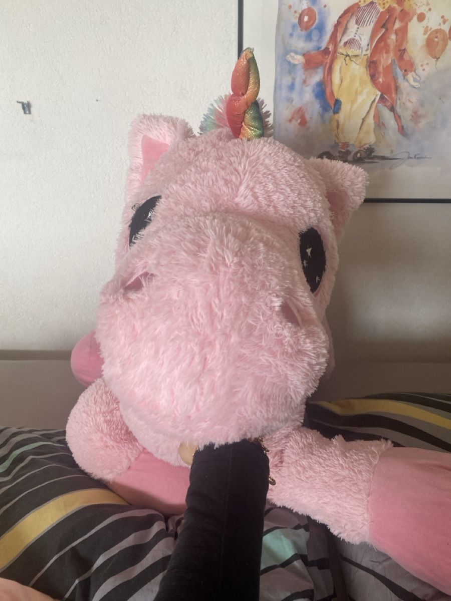 Jouets: XXL Plüsch Einhorn – D'occasion à Bremgarten AG par j.aaa.n.e 1