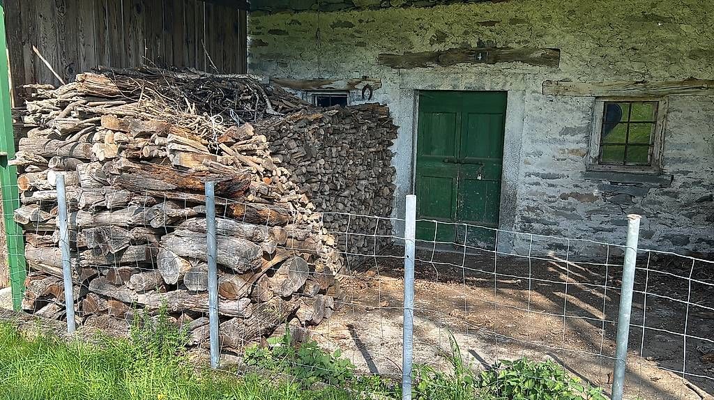 Tutte le macchine: Legna da ardere secca – Usato da Giubiasco venduto da radiolina 1