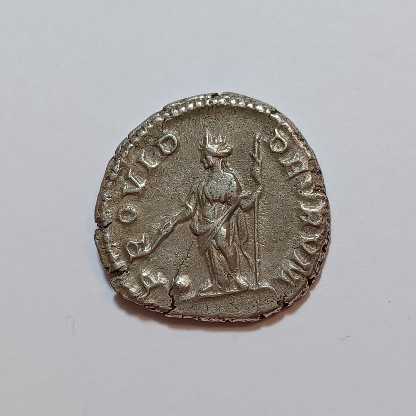 Tutti le monete: Denarius Geta (209-211) Römisches Reich – Usato da Pfäffikon ZH venduto da Antike_Muenzen 1
