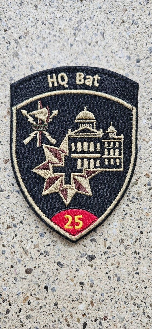 Schweizer Armee Placchette & Badge: *** Badge HQ Bat mit Klett *** – Nuovo e nell'imballaggio originale da Riedholz venduto da fr_sIruP