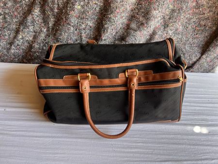  Schöne Reisetasche  (43)