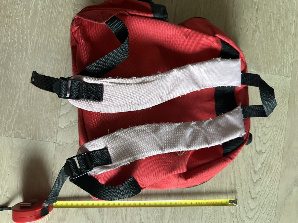 Borse & Zaini: Skip Hop Rucksack Marienkäfer – Usato da Zürich venduto da Restesindsuess 3