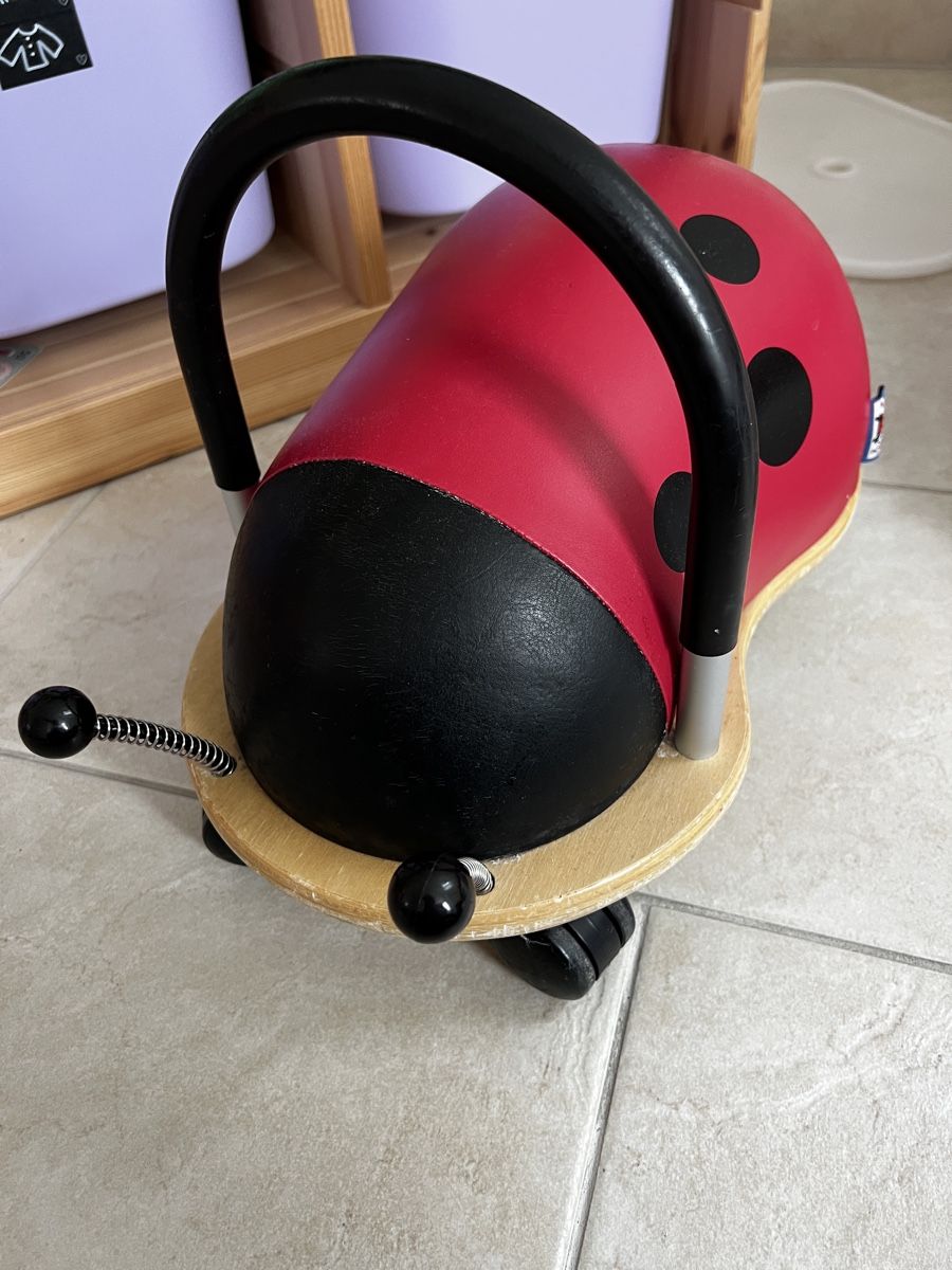 Fahrzeuge für Kinder: Wheely Bug – Gebraucht aus Schafisheim von RubyWalter 3