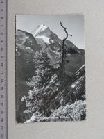 Lötschental, Bietschhorn