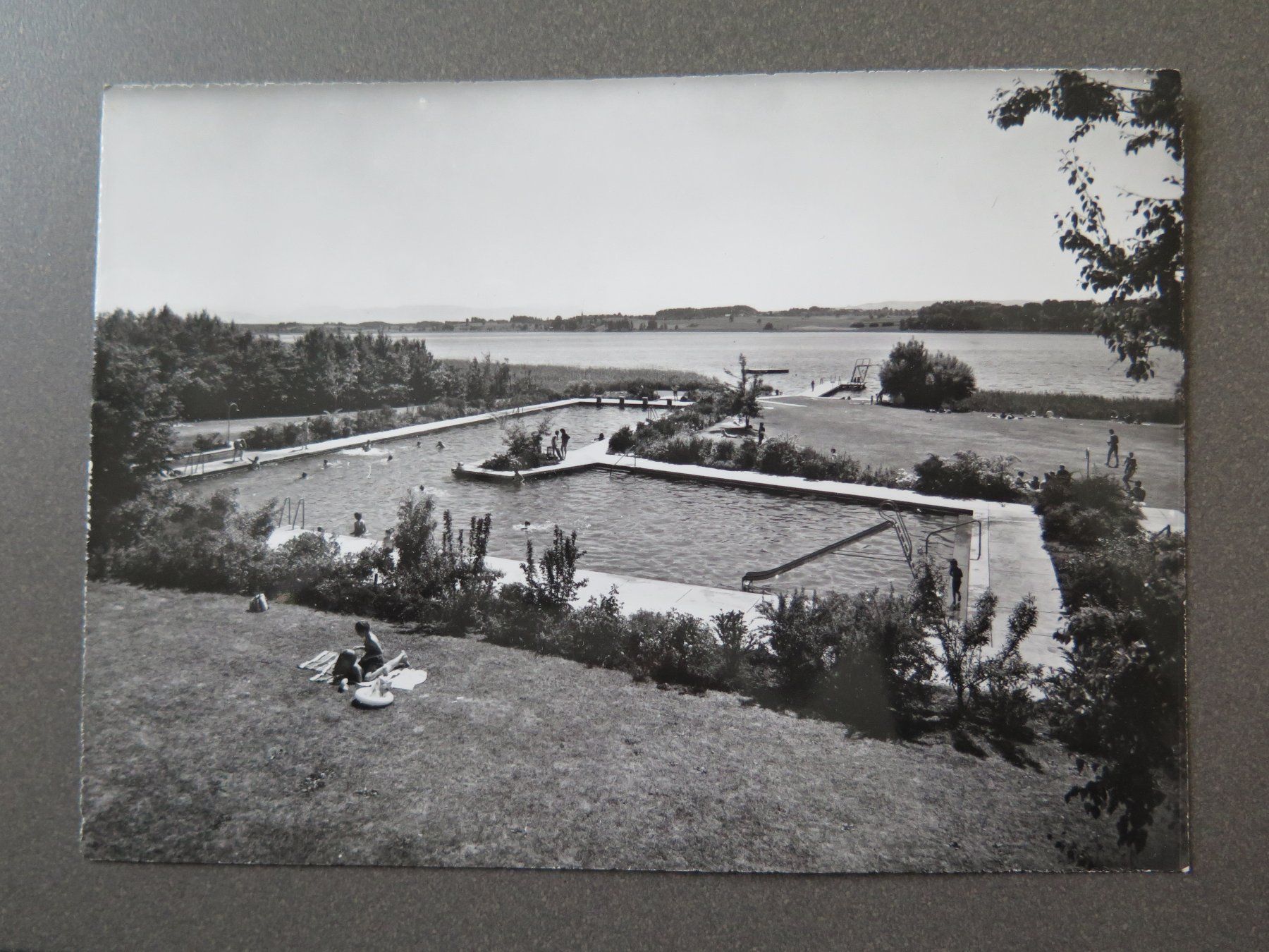 Cartoline postali: PFÄFFIKON ZH - SCHWIMMBAD – Usato da Wittenbach venduto da lipasal
