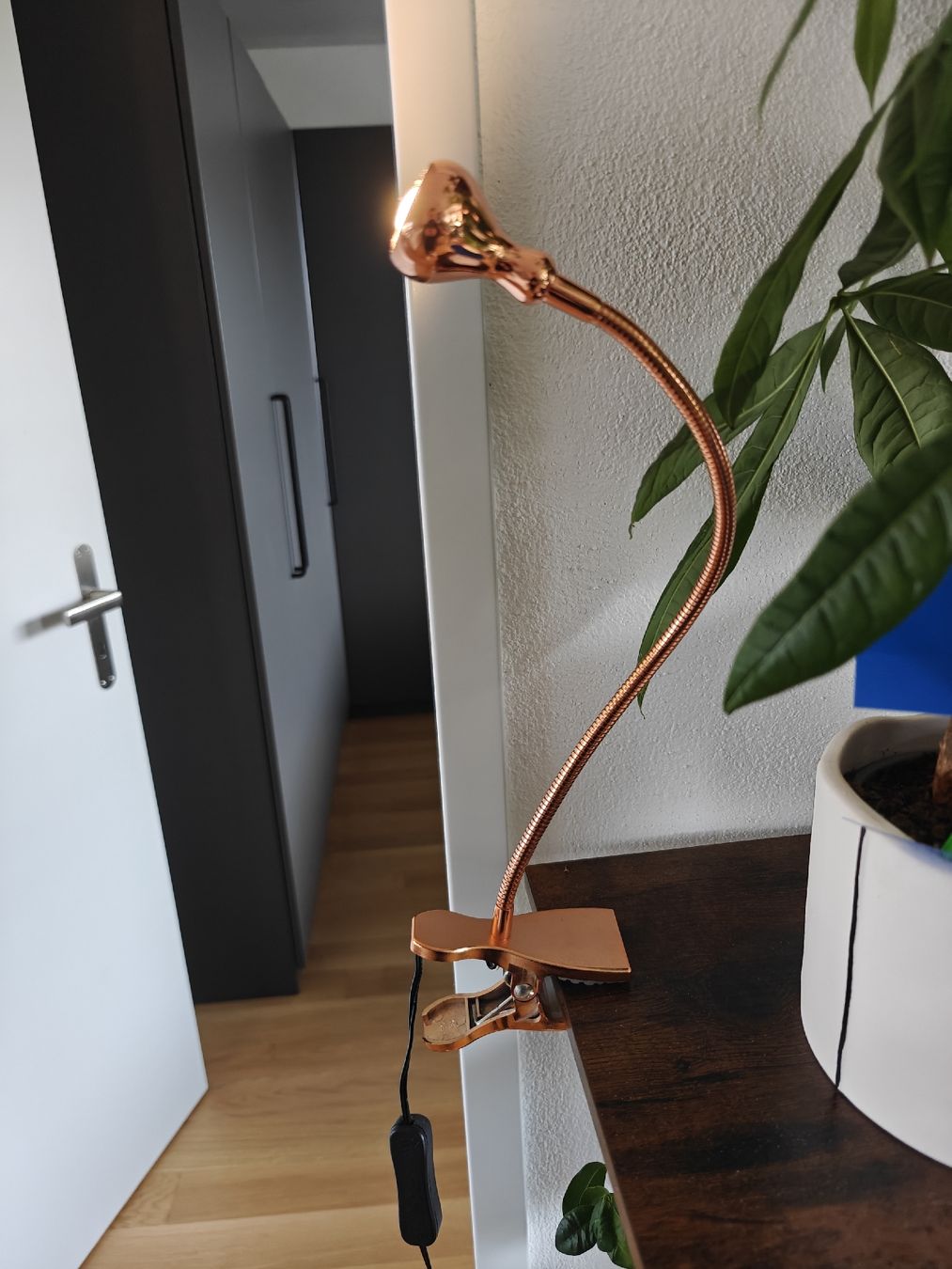 Ikea Lampen: Lampe – Neu (gemäss Beschreibung) aus Liebefeld von LaFl2026 2