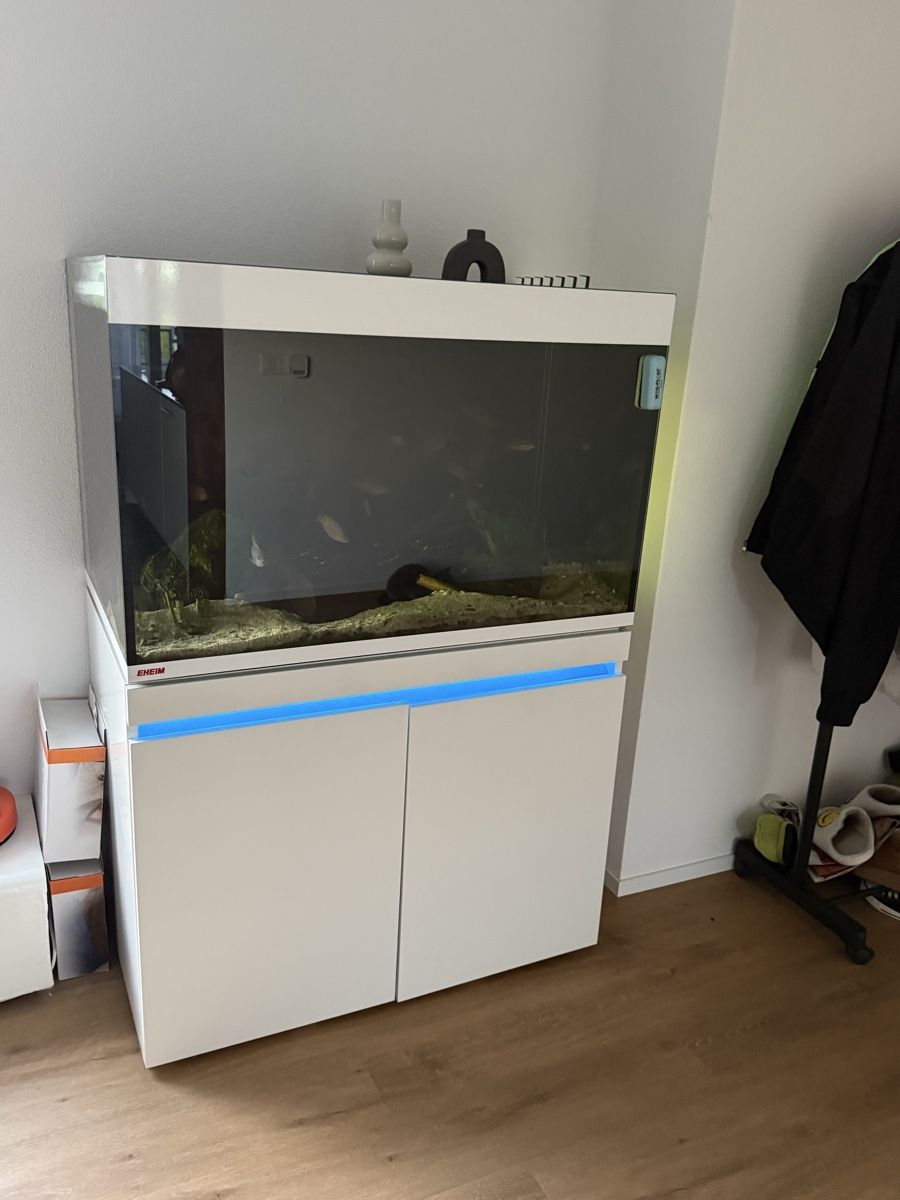 Aquarium: Eheim incipia 330 LED weiss – Gebraucht aus Menziken von Beshi90 1