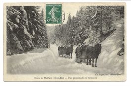 Route de Merez (F) à Genève (CH) Promenade en traineaux 1908