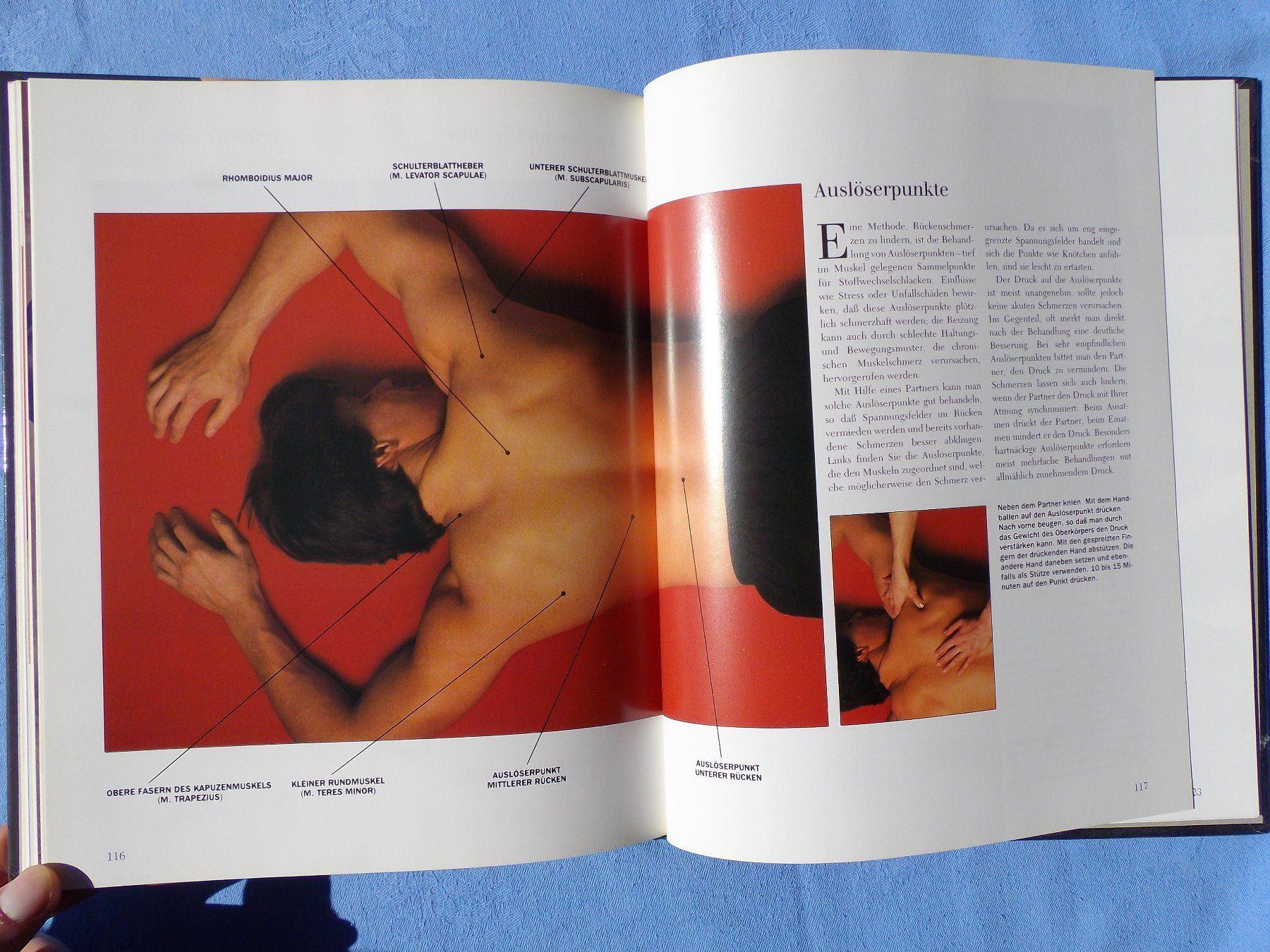 Libri: Der gesunde Rücken – Usato da Uster venduto da urs_75by 7