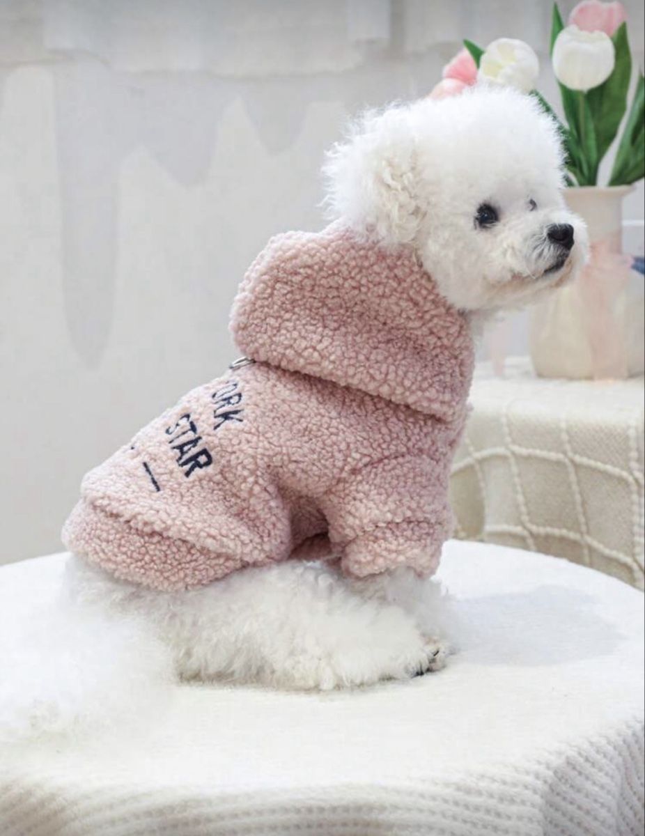 Abbigliamento: Kuscheliger Hundehoodie, Grösse XS oder S – Nuovo e nell'imballaggio originale da Emmenbrücke venduto da ShopDirect