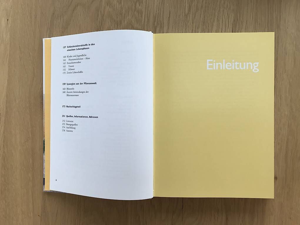 Libri: Schüsslersalze Kellenberger – Usato da Egolzwil venduto da taraxacum65 4